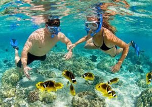 Tour 4 đảo + cáp treo Hòn Thơm
