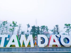 Tour ghép Tam Đảo 1 ngày